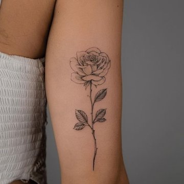 1141a39f68f17f405982d570c34711ec