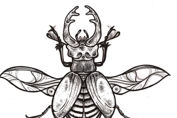 1614196567_57-p-tatu-eskizi-zhuk-skarabei-64.jpg