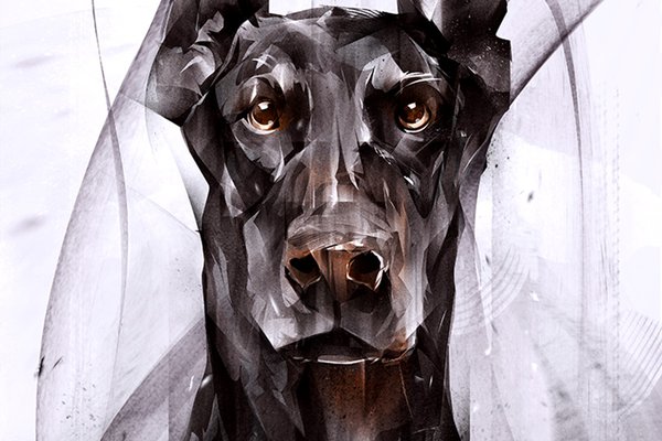 1633775170_36-kartinkin-net-p-doberman-art-zloi-krasivo-39.jpg