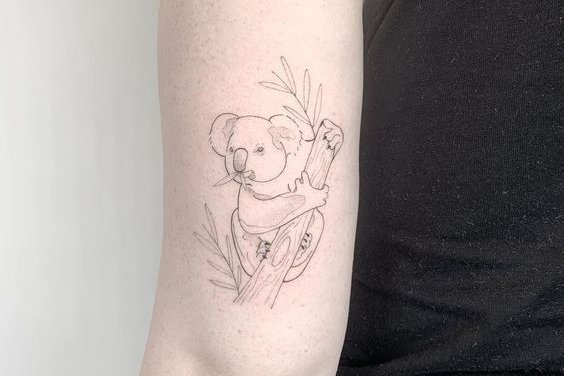 17