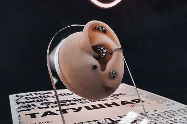 242149442_1313361742434565_3304915385011584911_n