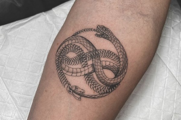 26