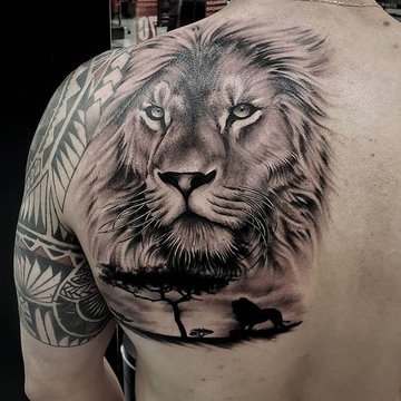 26a415a705b40c4ede4bcdd2a7c36902