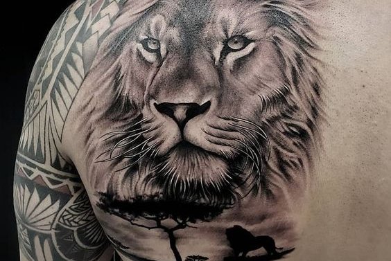 26a415a705b40c4ede4bcdd2a7c36902