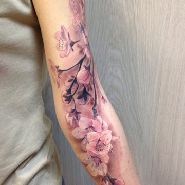 2958_image.jpg