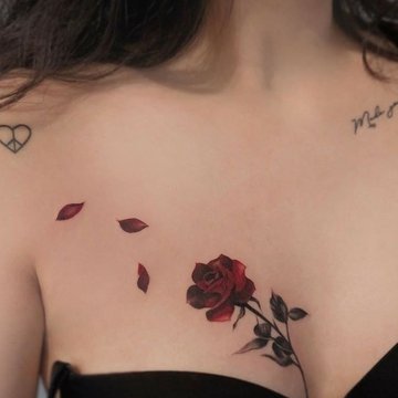 29a46b7ced1d6fd45458c0758d9e5f18