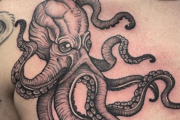 2c908d5c6423a3495eb7782b672fcfd1