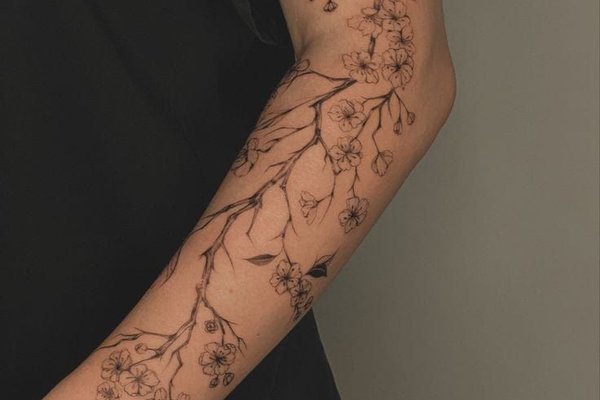 3db89516380c6967f8e420876fec4a9d