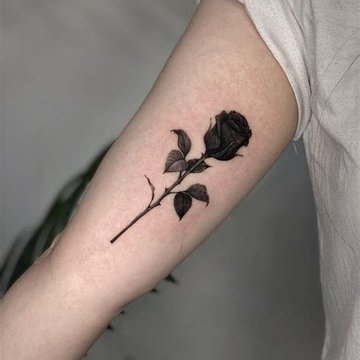 4c53f352dc93e459f38da15a97319758