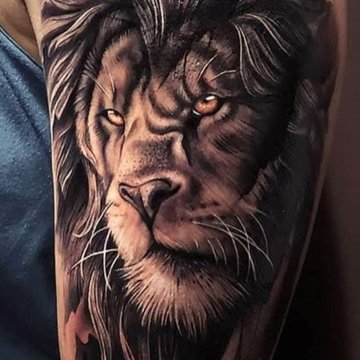 53f4c36f5e21b5fe34dd718a48cff0f1