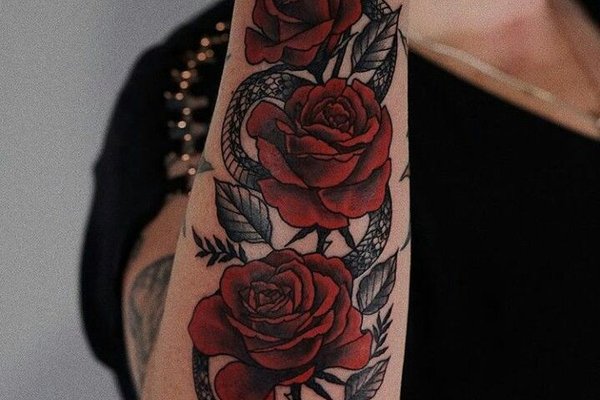 6637dd45f7b32f224bcce23bdba44ba2