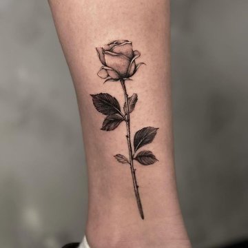 6c809246de5176a5de1f082542416136