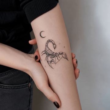 скорпион (10)