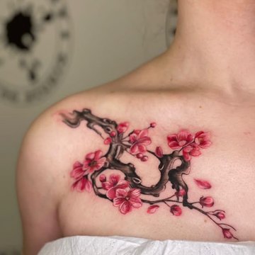 8c0009fb0105e1993b849912484eded2