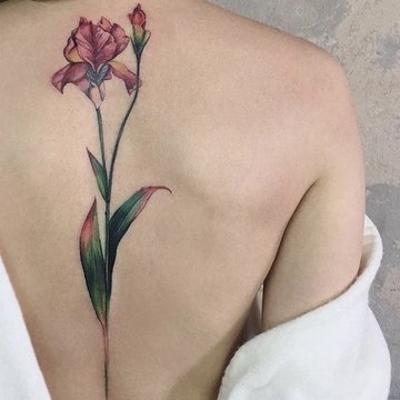 Back14