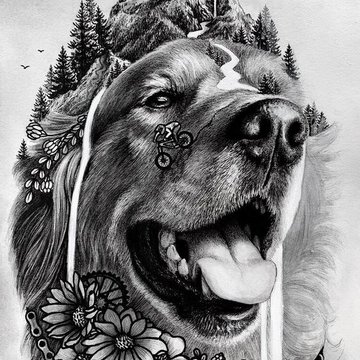 Inked1ef54833ab366aac3435714ee8613302_LI.jpg