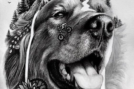 Inked1ef54833ab366aac3435714ee8613302_LI.jpg