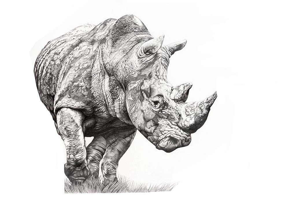Inkedэскиз-тату-носорог-02.02.2020-№018-rhino-tattoo-sketches-tatufoto.com__LI.jpg