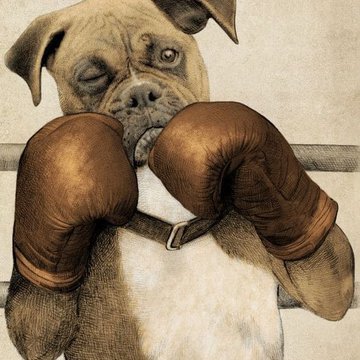 Jeskiz_Boks_17.jpg