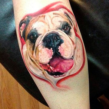Jeskizy_buldog_20.jpg