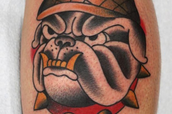 Jeskizy_buldog_23.jpg