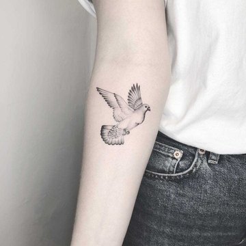Single-needle-pigeon-tattoo-by-Annelie-Fransson.jpeg
