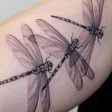 a47b923d28d626109b04fe462ac7e152