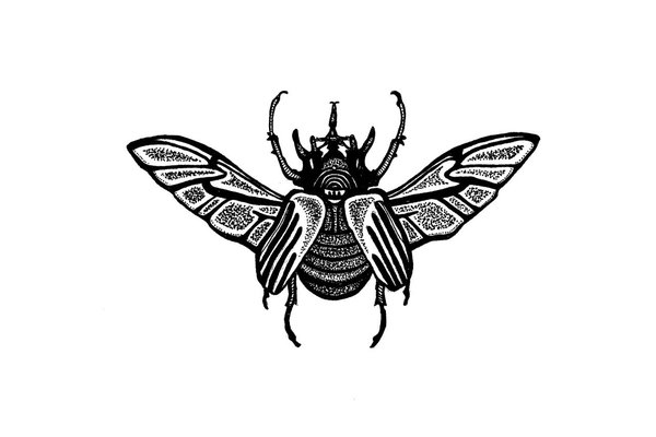 a7df3c1e88e74b3aa5154a040c0dc6f0.jpg