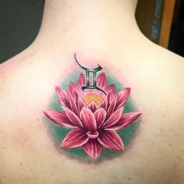 близнецы (35)