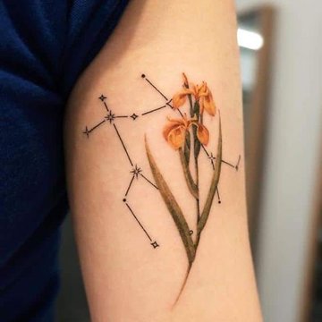 близнецы (42)