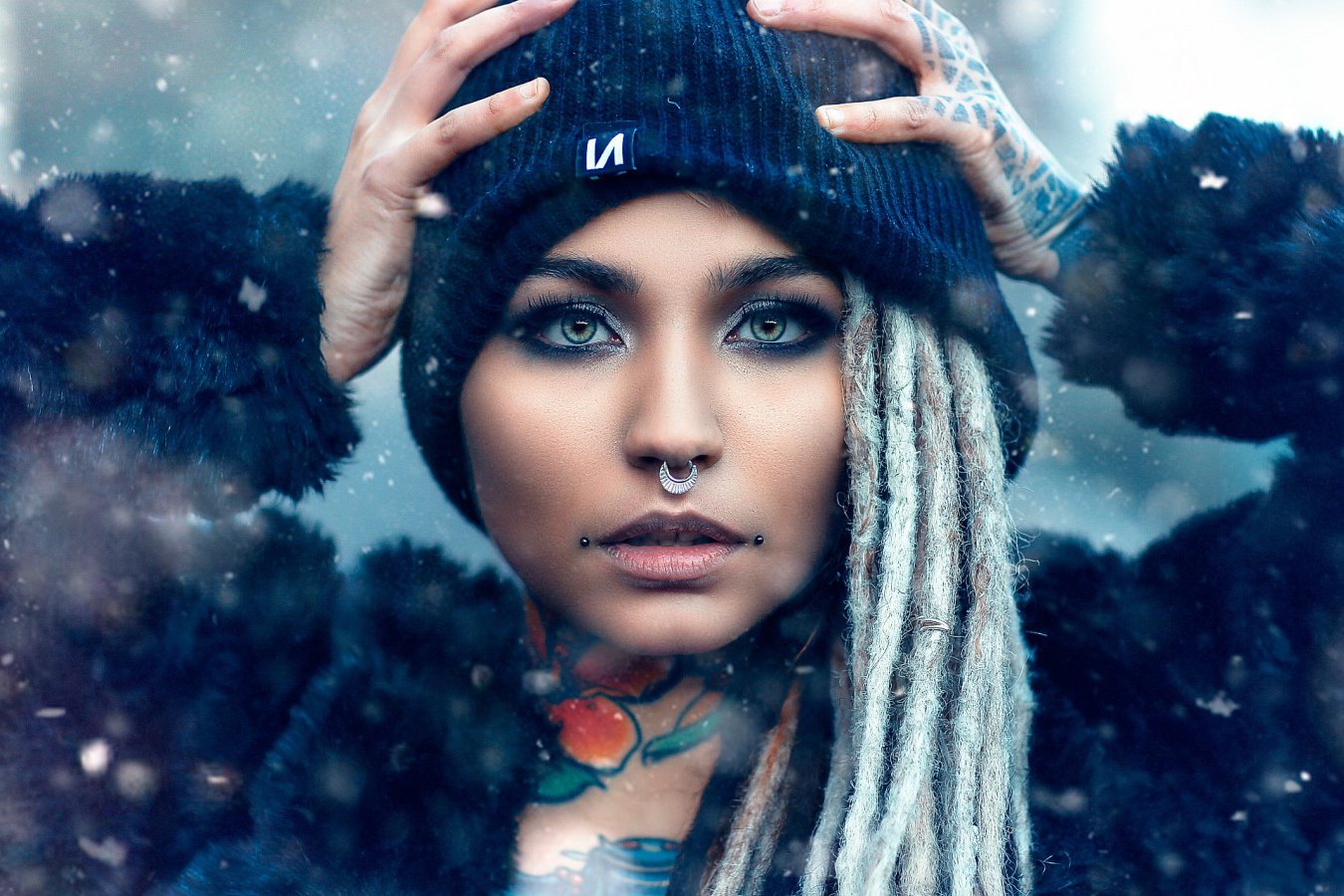 cold-lion-alessandro-di-cicco.jpg