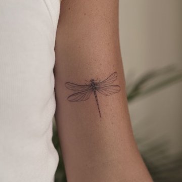 d8e42a4fd05f62e37bdb47f598c296f6