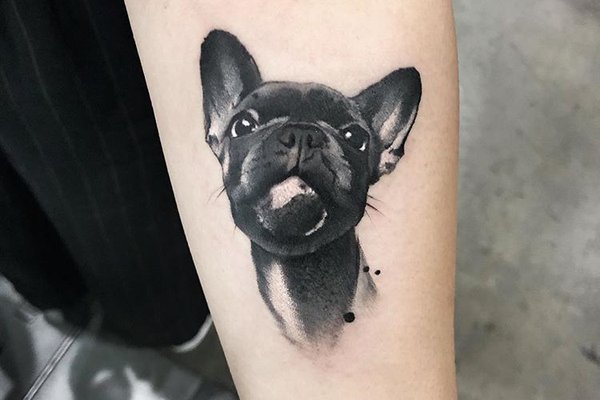 dog-inked-tattoo-Favim.com-6657302.jpg