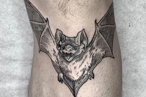 guzmanelmalo_1700307697685