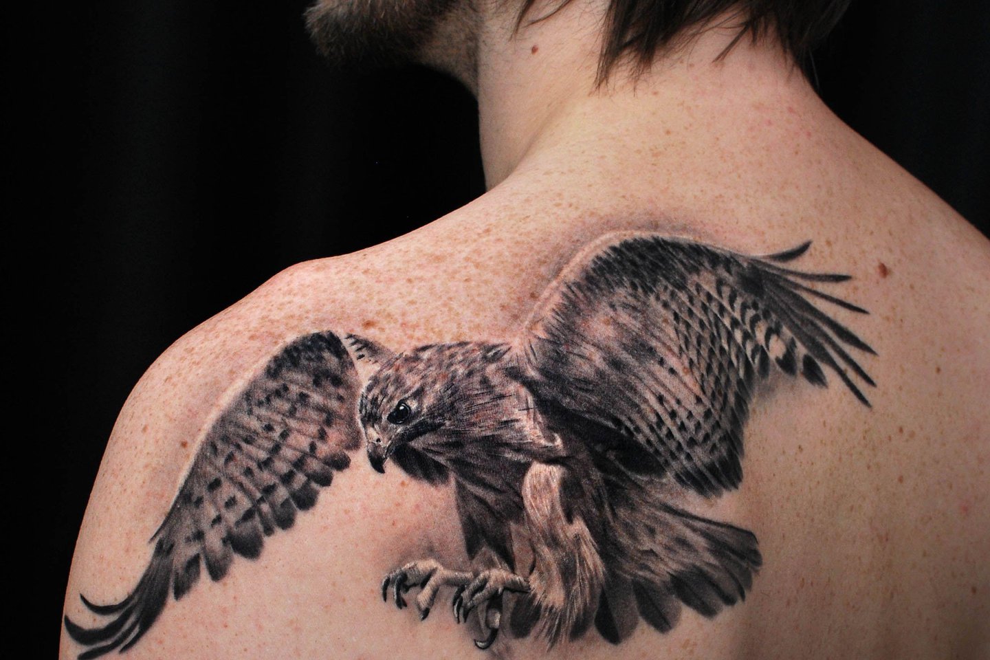 hawk_body1.jpg