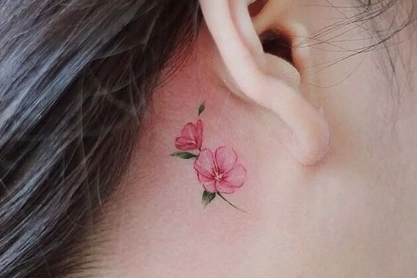 hejjwjtjjy (15)