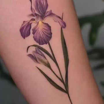 hksfruyewytyu (12)