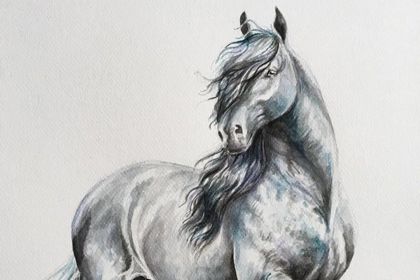 kak_narisovat_loshad_poetapno_karandashom_14.jpg