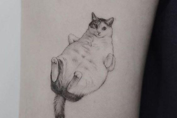 mini-tatu-13.jpg