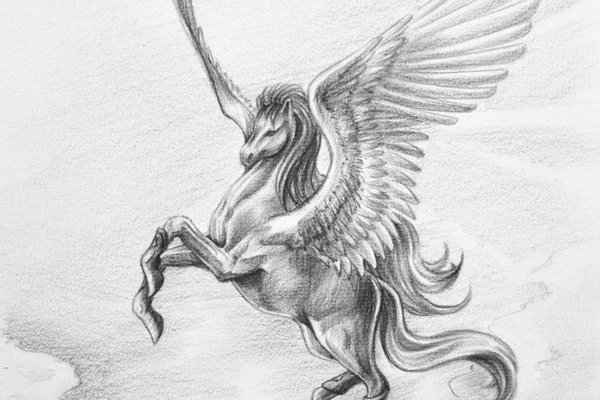 pegas-eskiz-tatto-0052.jpg