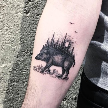 pig_arm1.jpg