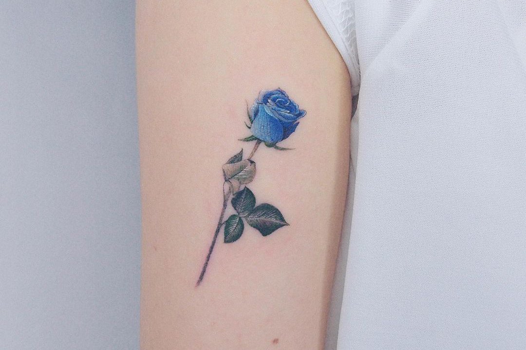 sinyaya-rosa-3.jpg