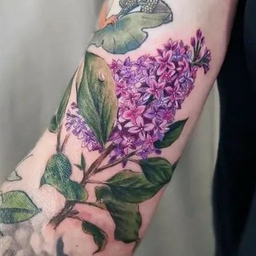 сирень (12)
