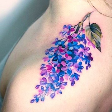 сирень (28)