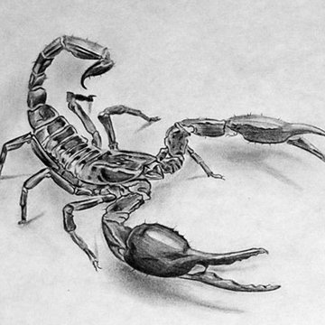 skorpion-eskiz-tatto-0052.jpg