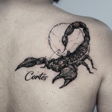 скорпион (10)