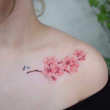 tatu-sakura22.jpg